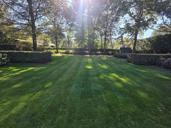 Verzorgd gemaaid gazon na tuinonderhoud