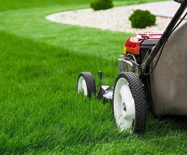 Tuinonderhoud van een verzorgd gazon en groene tuin