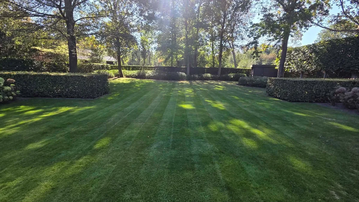 Verzorgd gemaaid gazon na tuinonderhoud